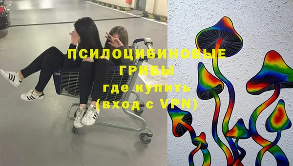 первитин Снежногорск