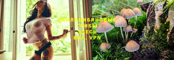 кристаллы Слюдянка