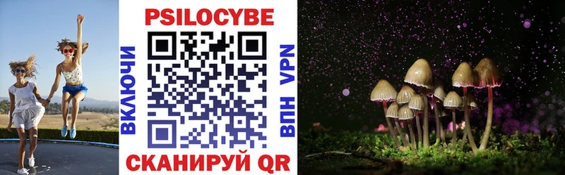 Галлюциногенные грибы Psilocybe  Купить где  Печора 