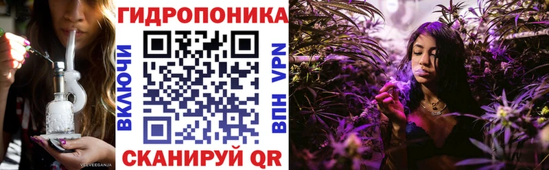 Купить закладки  Печора  Бошки марихуана THC 21% 